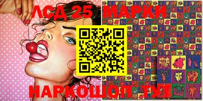 молекула духа Можга