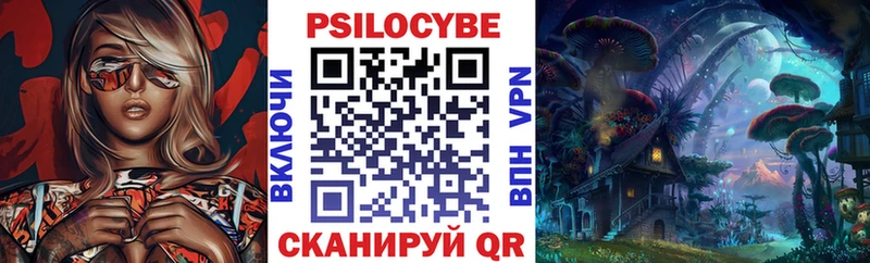 Псилоцибиновые грибы Psilocybine cubensis  где найти наркотики  Благодарный 