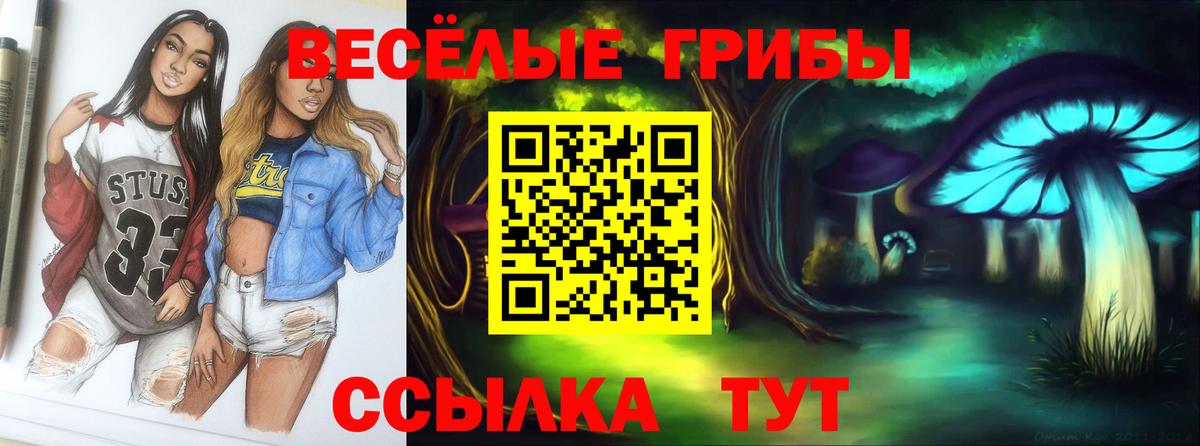 Псилоцибиновые грибы мицелий Благодарный
